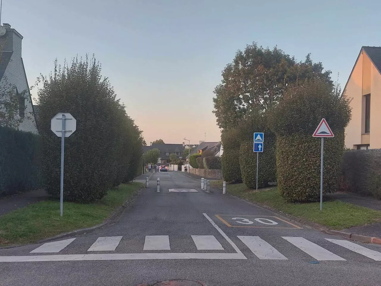 Vannes : l'abattage de six arbres crispent les habitants d'un quartier | Actu Morbihan