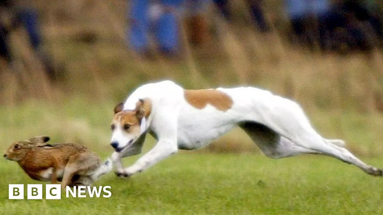 Three men sentenced over East Yorkshire hare coursing offences