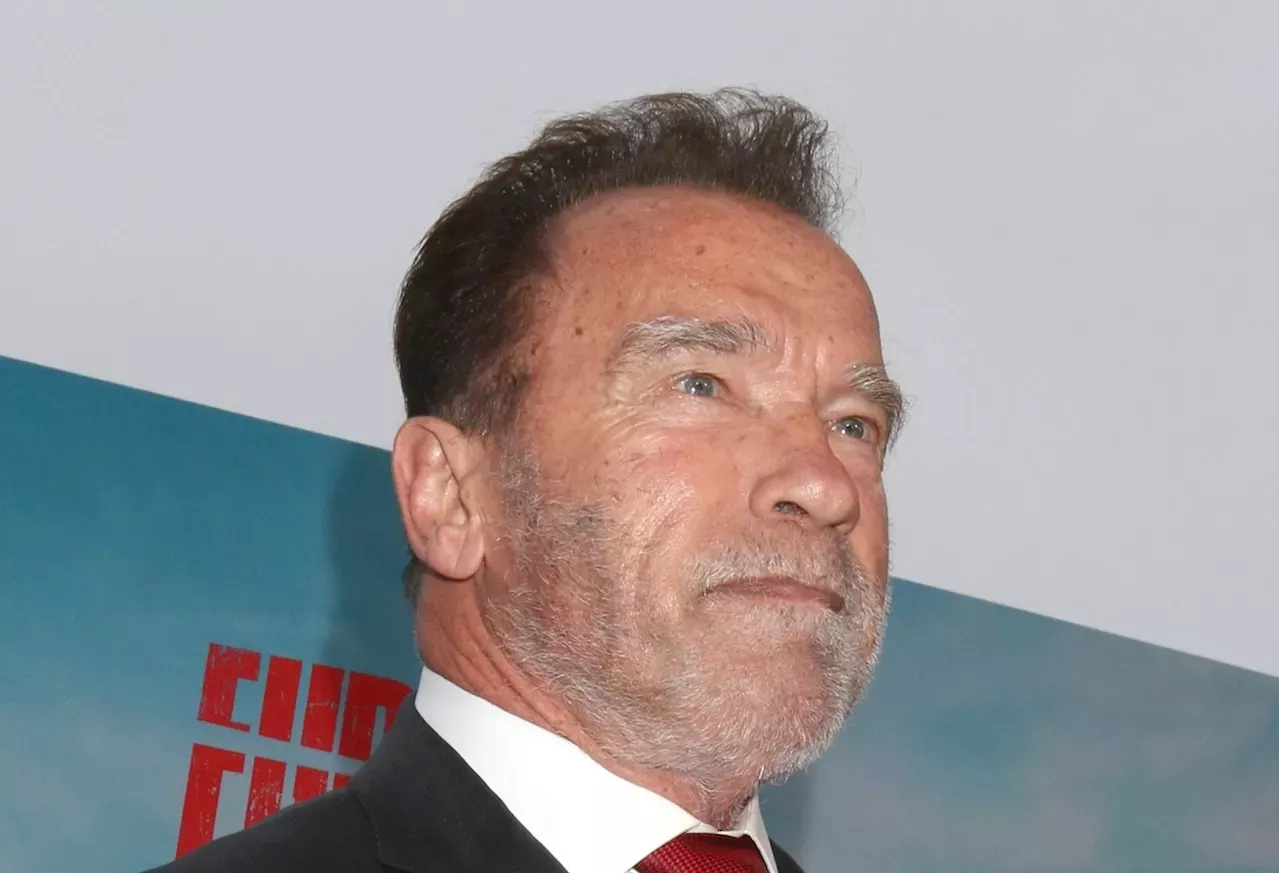 Arnold Schwarzenegger Reveals Hardest Part Of Looking In The Mirror At ...