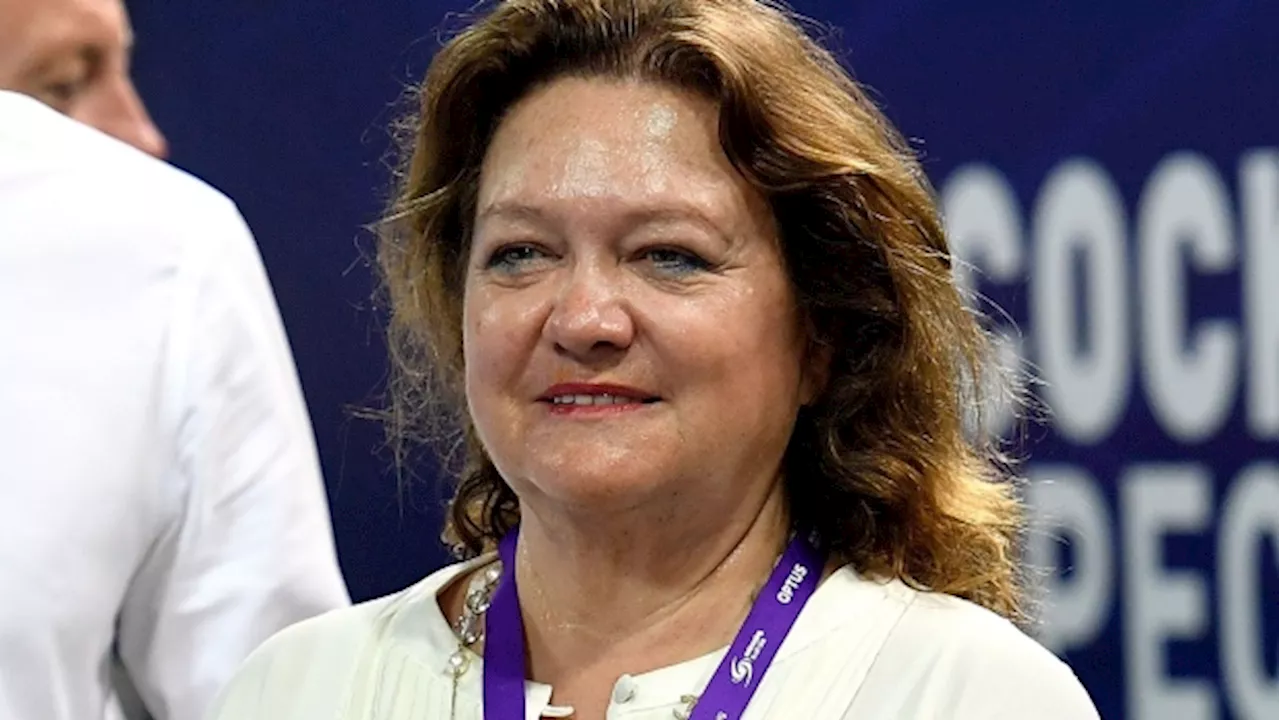 Australian Tycoon Rinehart Increases Stake in Liontown to 19.9% - BNN Bloomberg