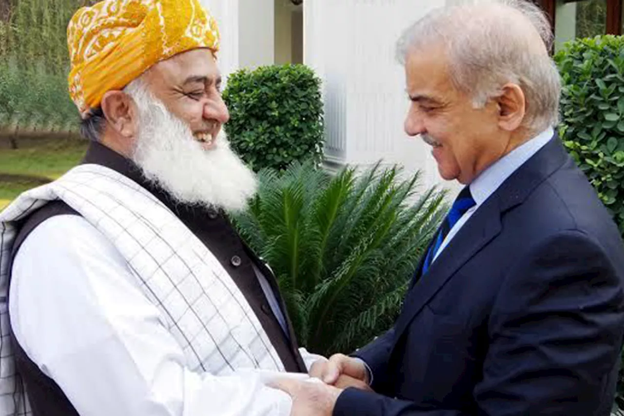 Shehbaz Sharif and Fazal ur Rehman agree to deal crises together