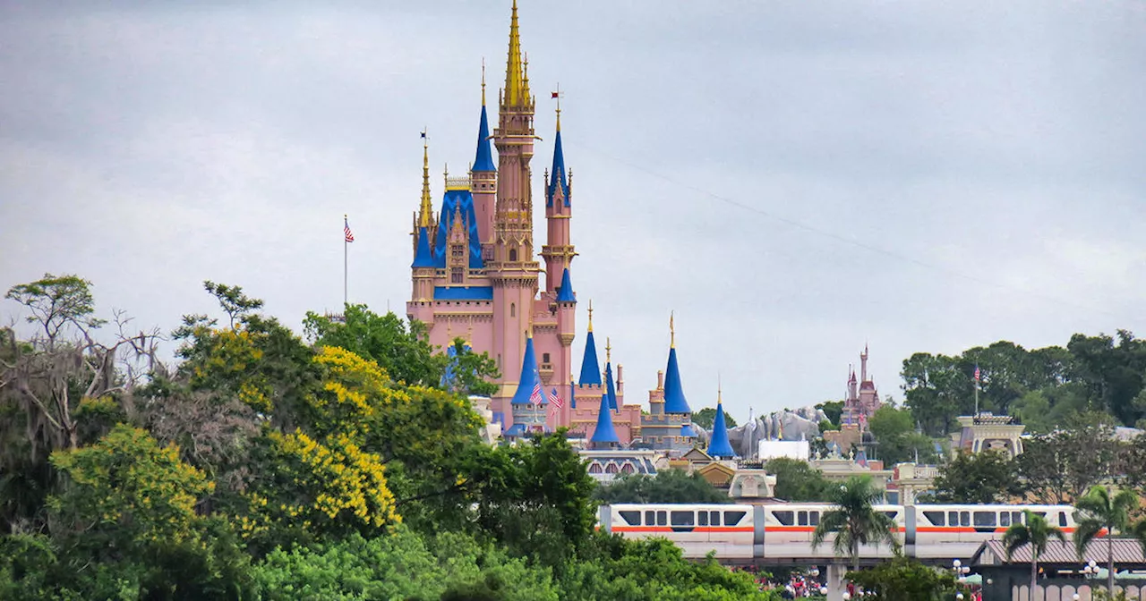 Disney ups price of some tickets to enter Disneyland and Walt Disney World