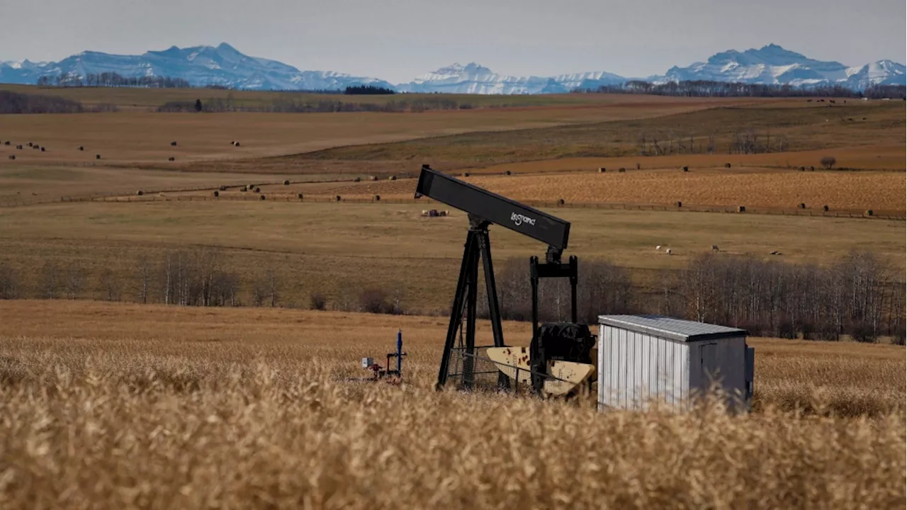 Alberta Energy Regulator stands in the way of orphan well clean up: report