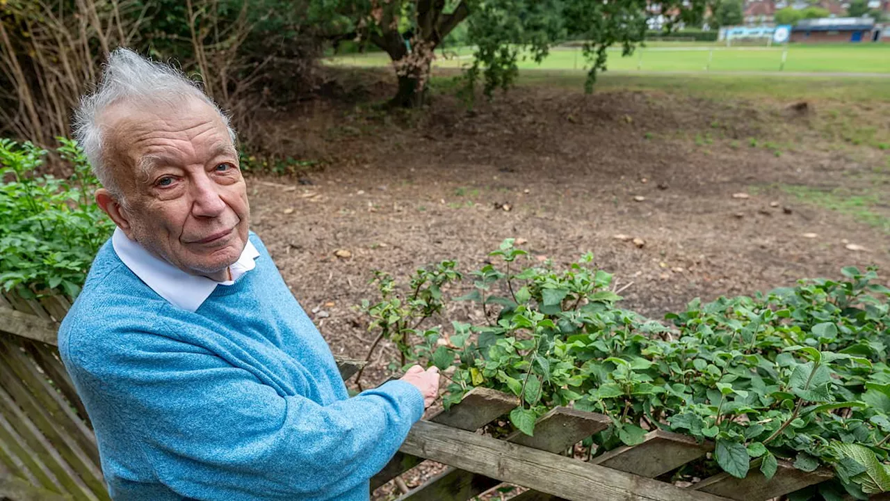 Grandfather, 90, is reported to the police for criminal damage by his local council