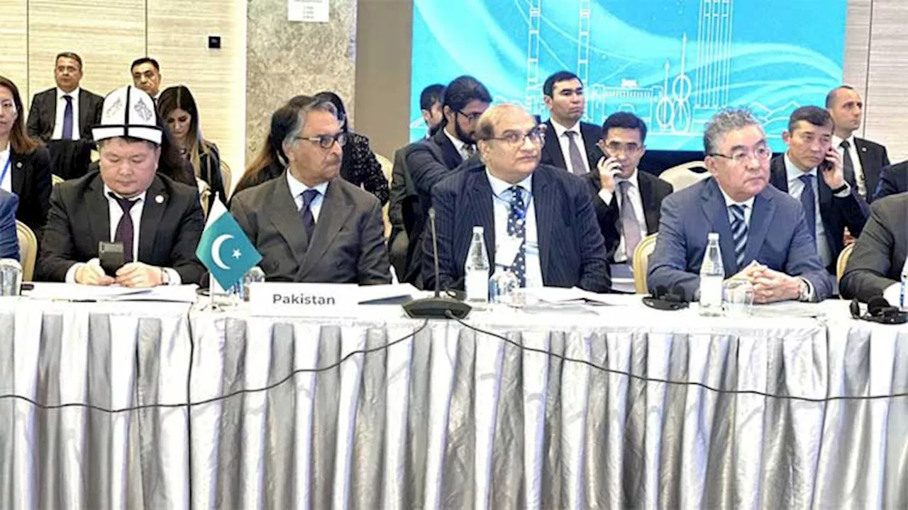 FM Jilani stresses upon ECO intra-regional trade growth