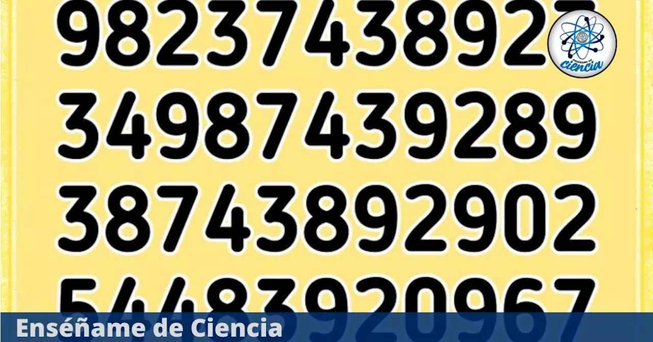 Acertijo visual IMPOSIBLE de resolver. Encuentra el número 879 en la imagen en menos de 5 segundos