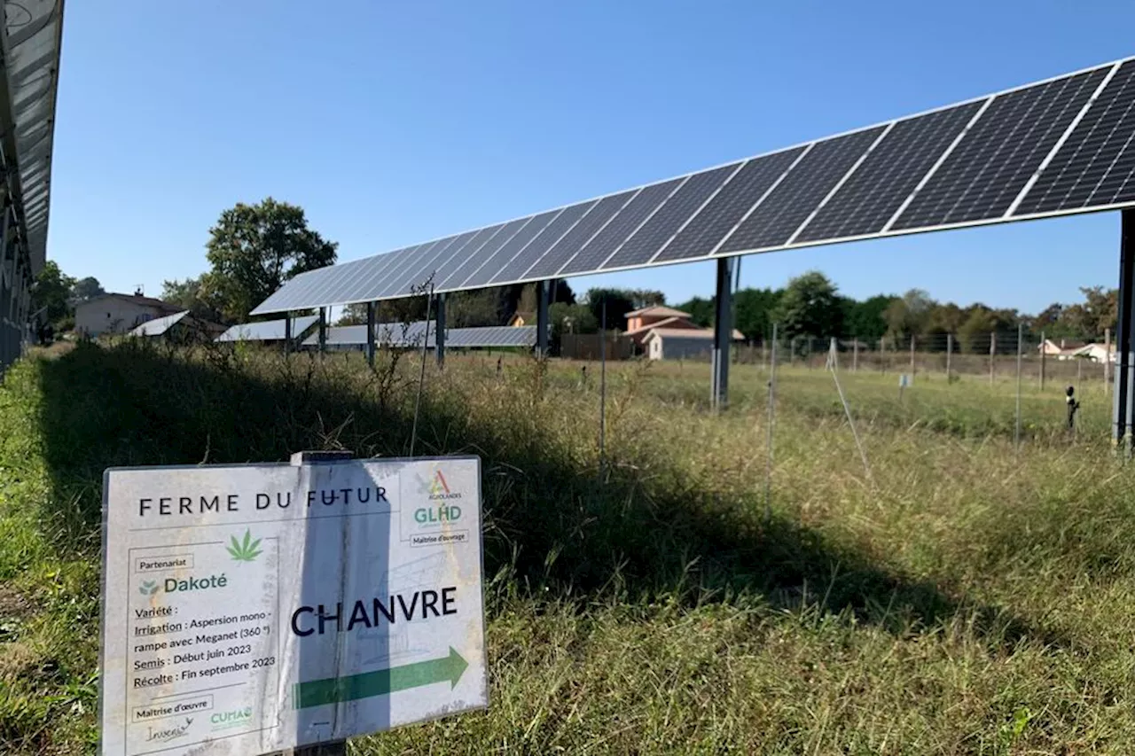 Faute de revenus suffisants, 35 agriculteurs veulent poser des panneaux solaires dans leurs champs