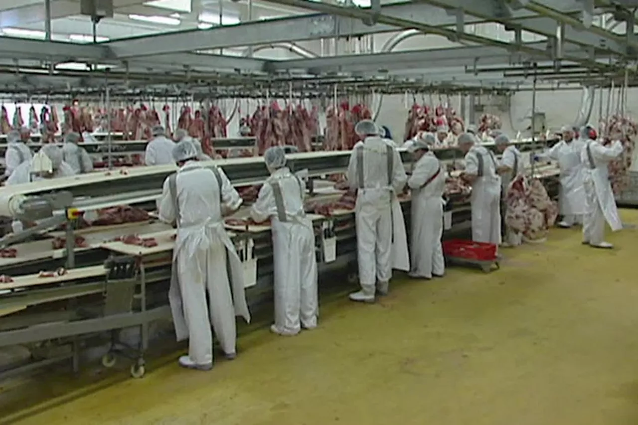 'J'espère que tout le monde s'en est sorti'. Que deviennent les ex-salariés de l'abattoir Gad