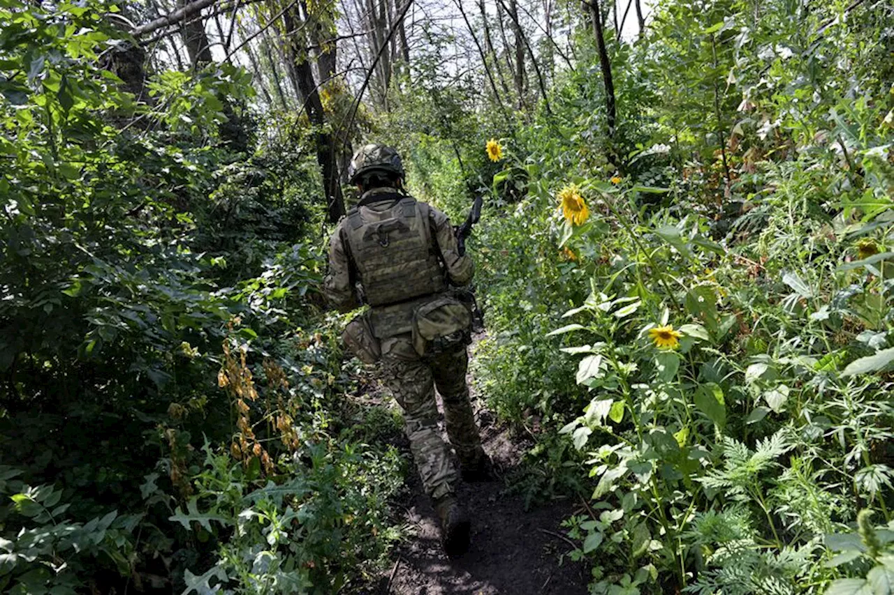 В Запорожье рассказали о неудачном наступлении ВСУ в районе Вербового - Газета.Ru | Новости