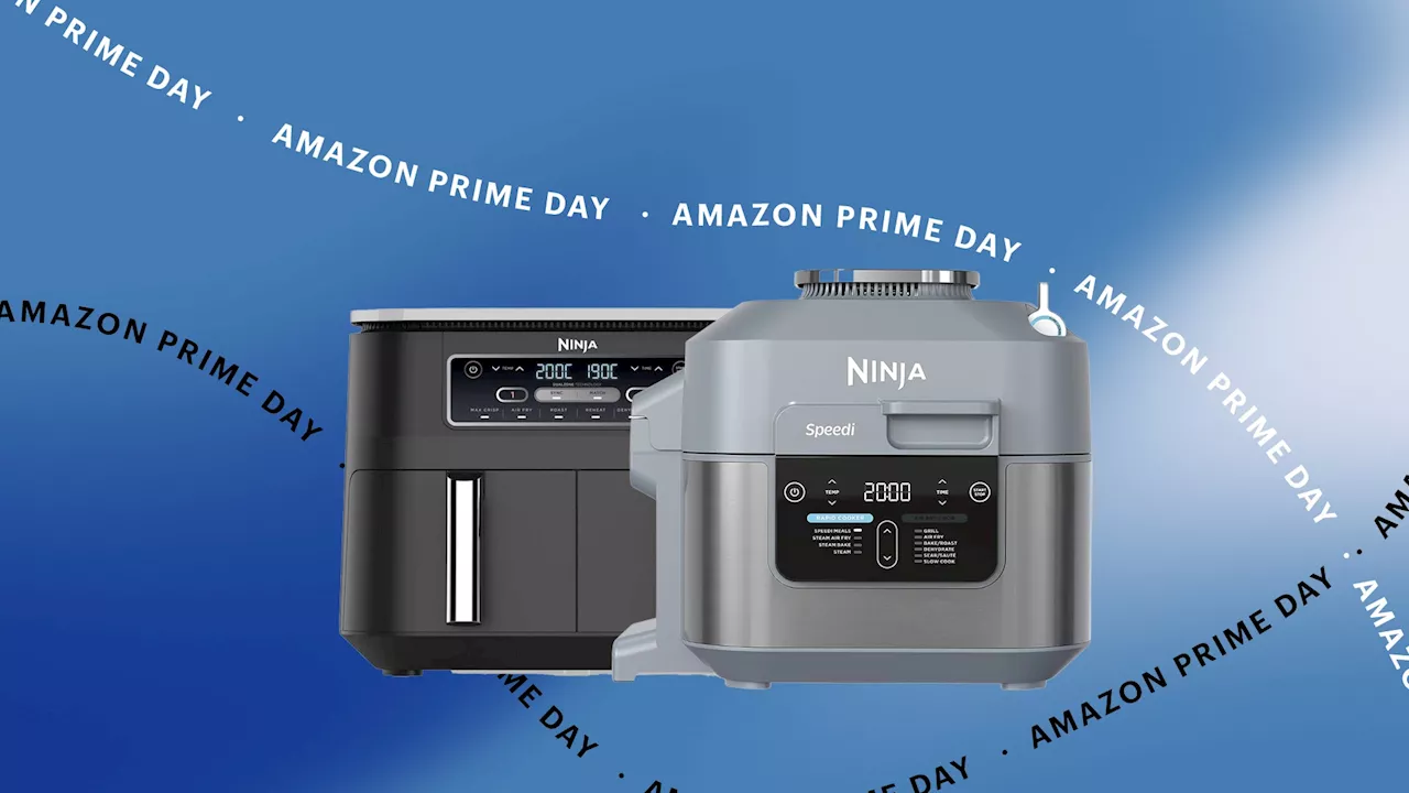 17 Best Amazon Prime Day Air Fryer Deals 2023 Day 2