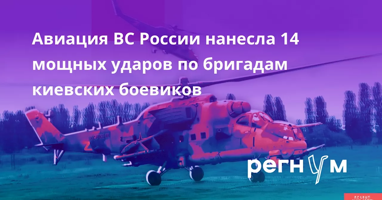 Авиация ВС России нанесла 14 мощных ударов по бригадам киевских боевиков