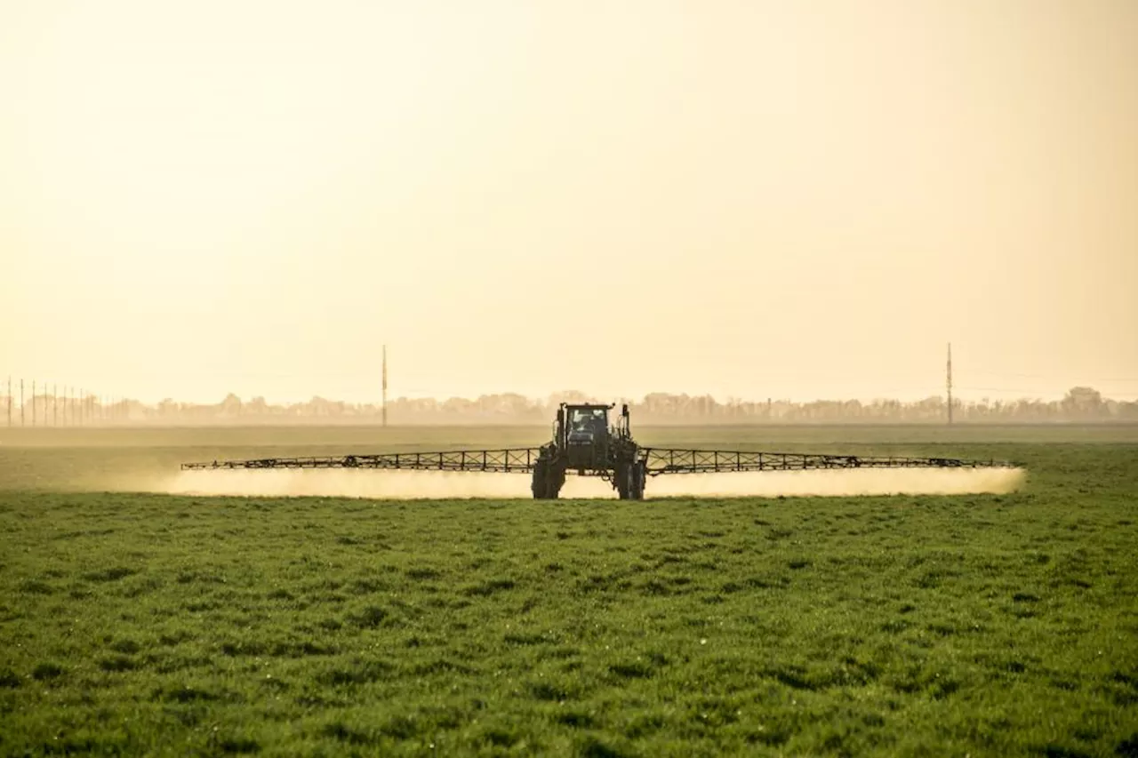 PFAS-pesticider er stigende populære blandt landmænd: &#039;Stærkt problematisk&#039;