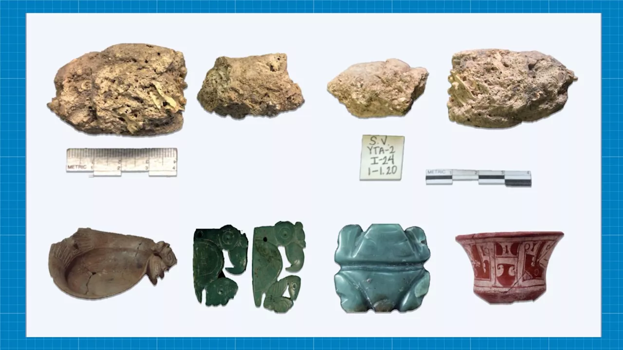 Fossilized feces reveals diverse diet of Caribbean cultures