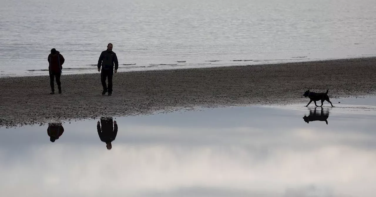 Dog dirt the biggest contributor to poor quality Dublin bathing water