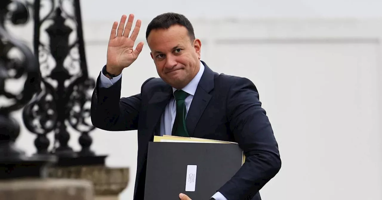 Miriam Lord: Party leaders opt for cudgels, not scalpels, in budget postmortem