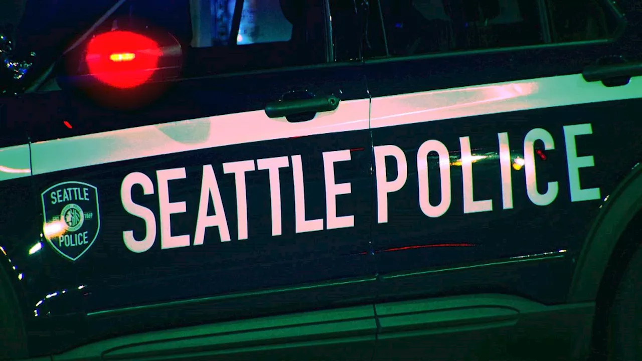 Seattle police arrest man accused of stabbing another man, leaving him ‘seriously injured’