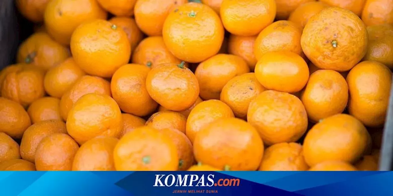 10 Makanan Yang Baik Dikonsumsi Saat Cuaca Panas, Bukan Cuma Jeruk