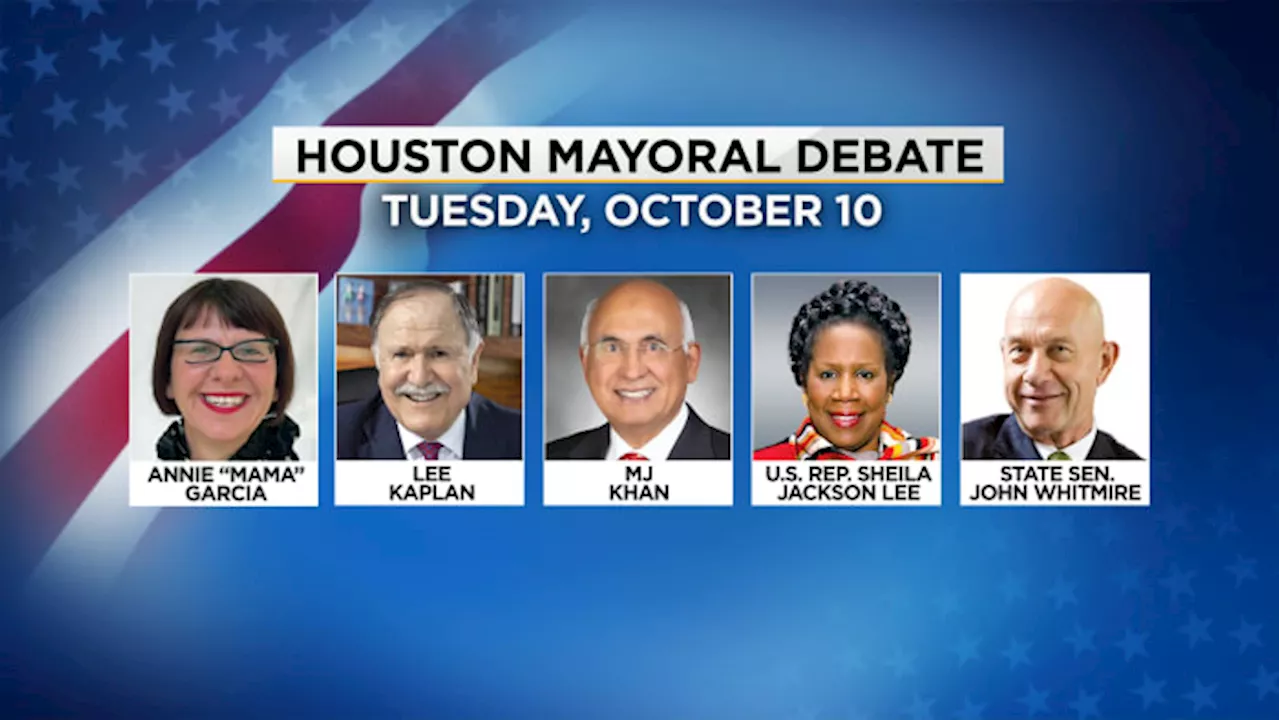 5 qualifying Houston mayoral candidates discuss crime, potholes, education and more in debate