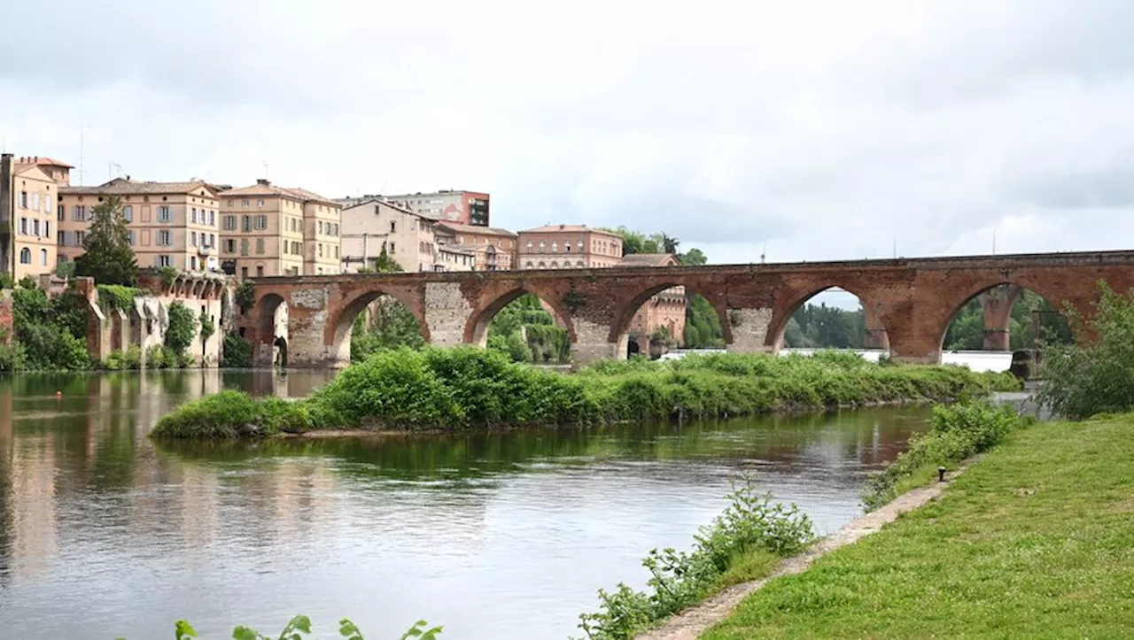 Albi. Un festival sur les berges du Tarn