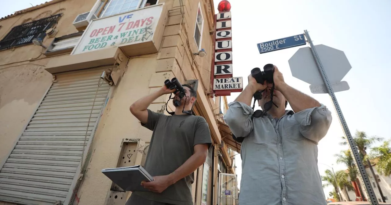 How L.A.’s bird population is shaped by historic redlining and racist loan practices