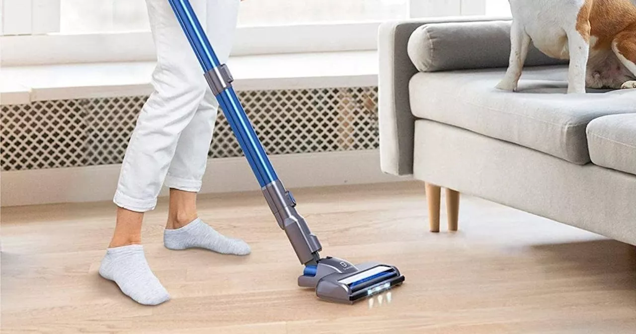 Shoppers hail 'powerful' £85 Amazon vacuum rivalling Dyson for removing pet hair