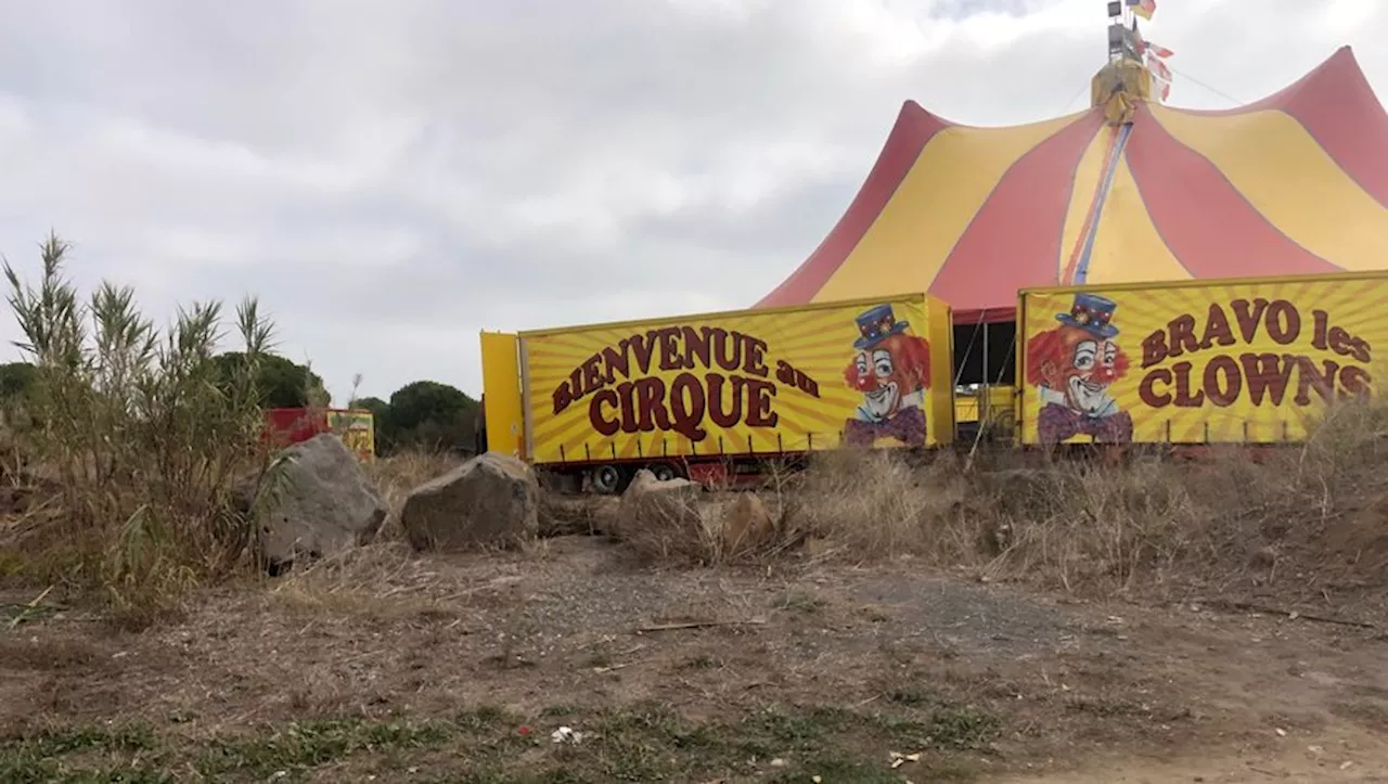 Agde : un cirque s'installe en toute illégalité sur un terrain des Champs Blancs