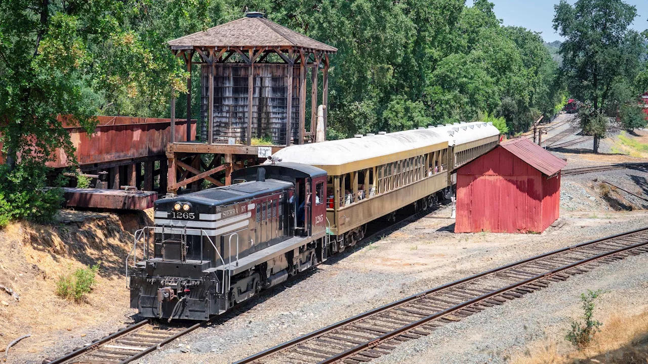 The ‘Skeleton Starlight' is now haunting Railtown 1897 State Historic Park