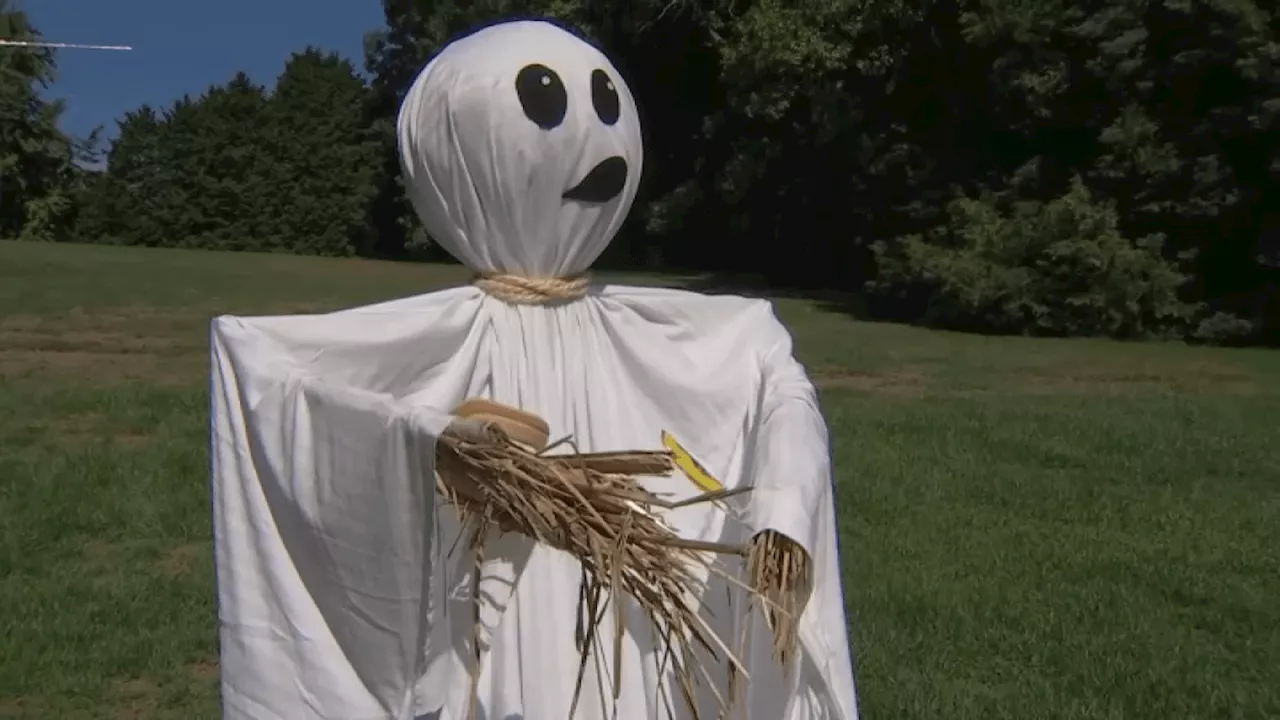 Scarecrows are back at Morris Arboretum & Gardens