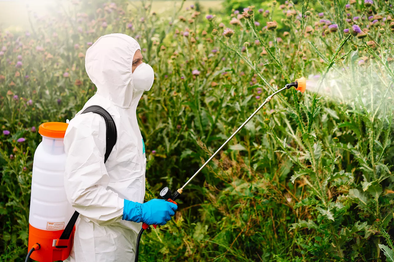 Toxicologists Reveal Popular Weed Killer May Harm Teenage Brains