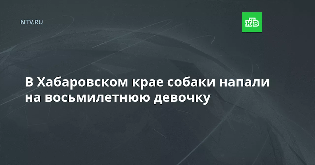 В Хабаровском крае собаки напали на восьмилетнюю девочку