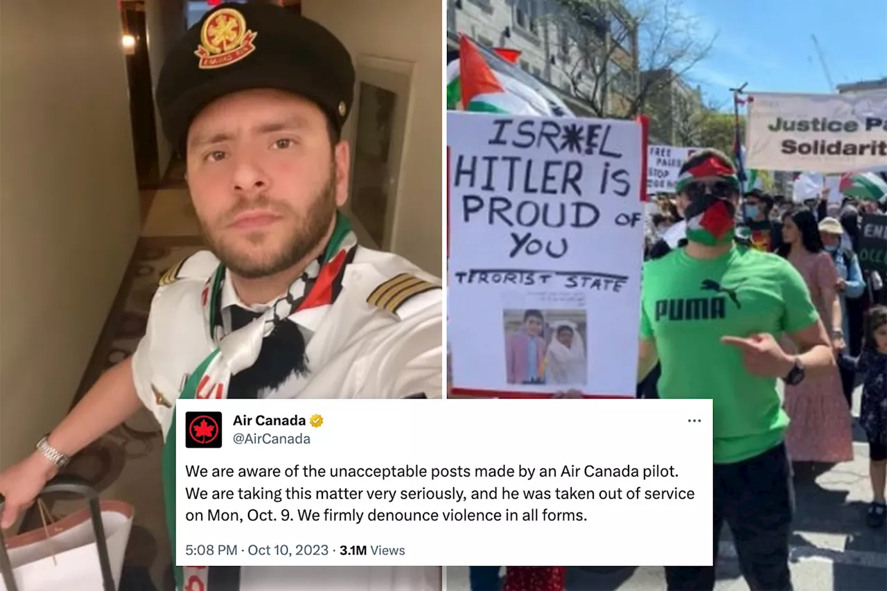 Air Canada grounds pilot behind antisemitic social media posts: 'Burn in hell'