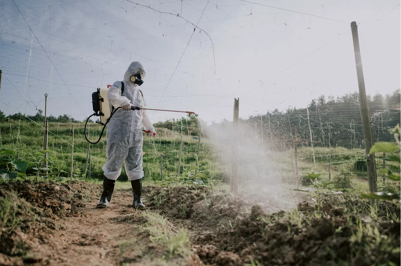 Extremely common herbicides are harmful to teen brain function, study shows