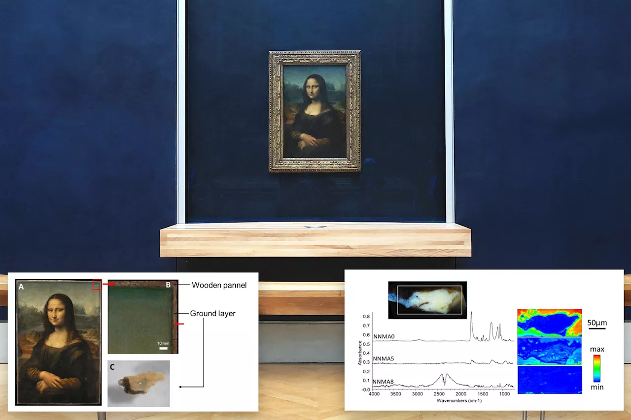 Scientists uncover new secrets about Leonardo da Vinci's 'Mona Lisa'