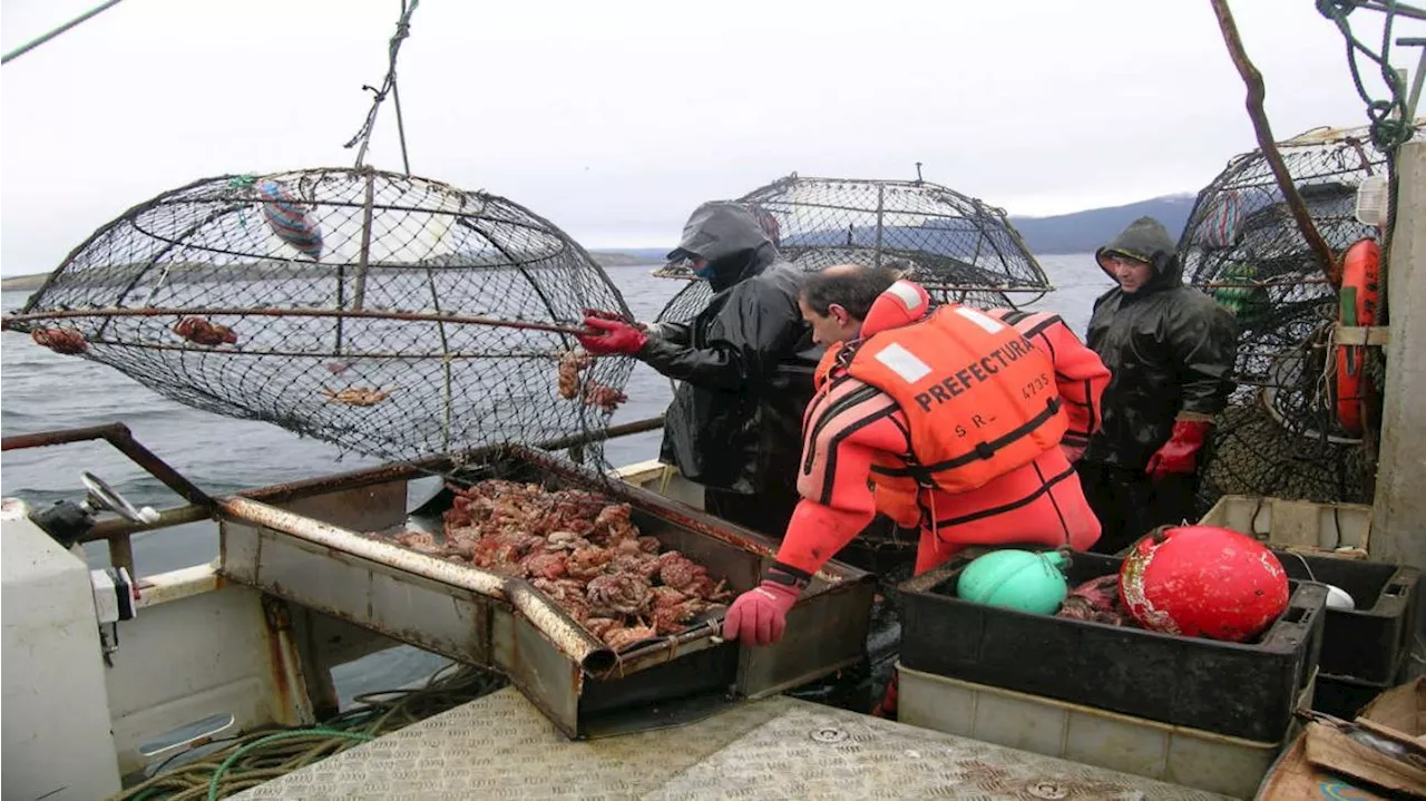 Advierten que la pesca ilegal en las Islas Malvinas podría provocar un 'grave conflicto diplomático'