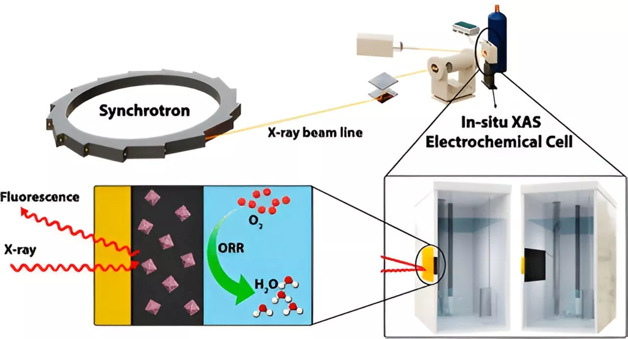 Researchers use new new cobalt-modified nano material to make fuel cells more robust, sustainable