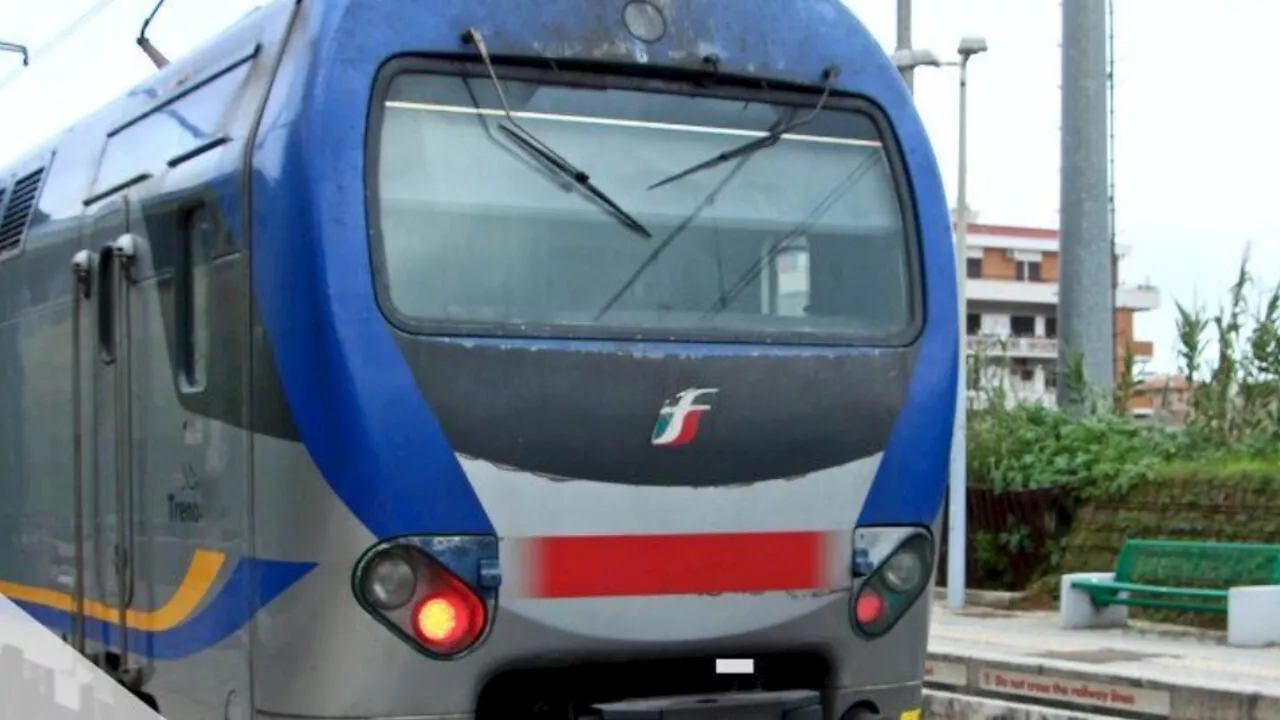 Treno investe e uccide cavallo sui binari: ritardi fino a un'ora sulla Roma-Fiumicino