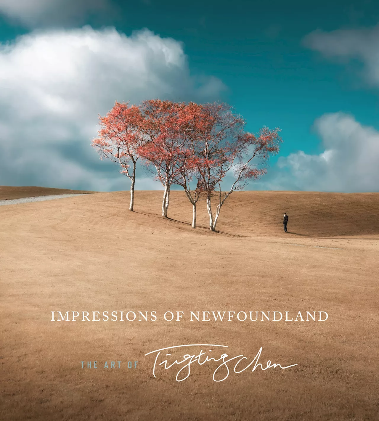 JOAN SULLIVAN: Photo book by Ting Ting Chen captures ‘rhythms and moods’ in Newfoundland and Labrador scenery