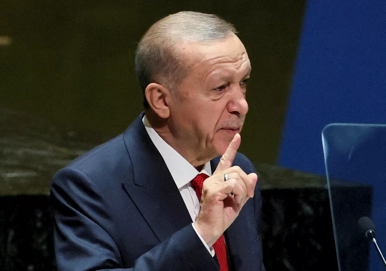 Turkey's Erdogan calls Israeli response to Hamas in Gaza a 'massacre'