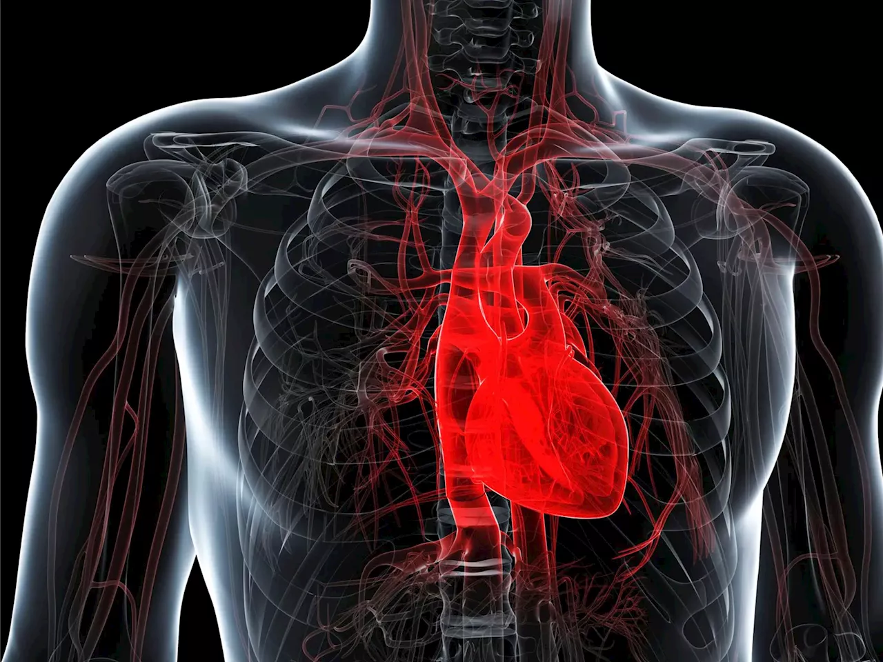 Unexpected Invader – Scientists Discover Microplastics in Human Heart Tissues