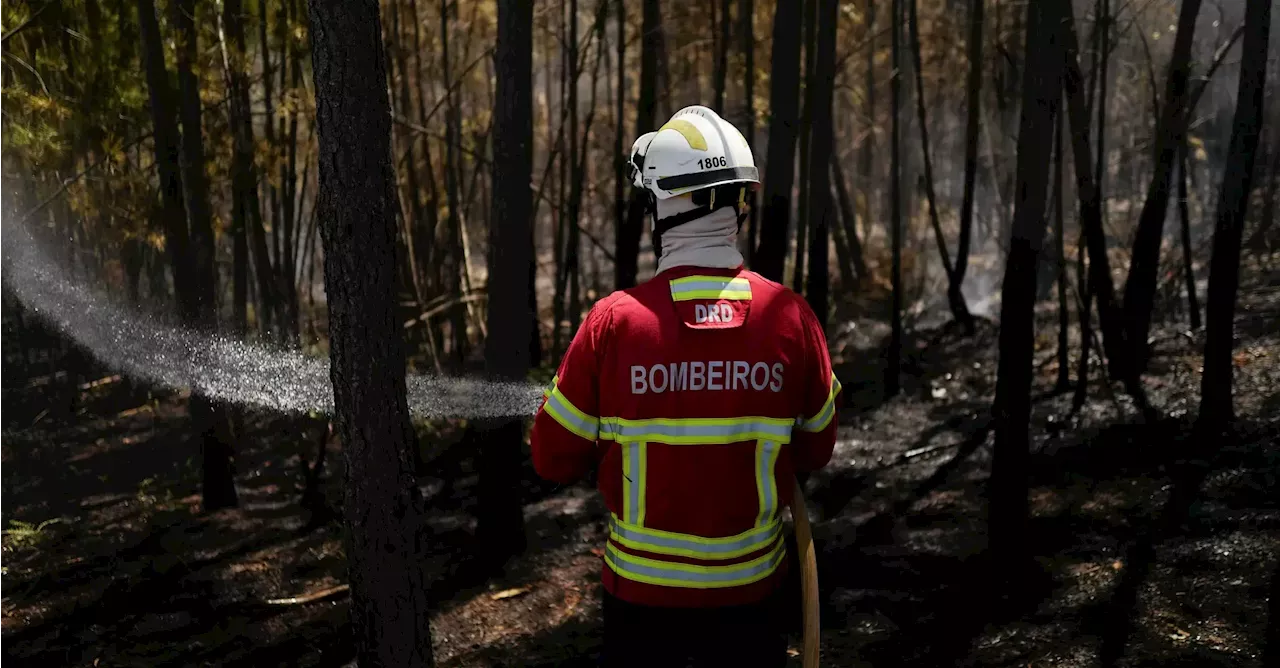 Ipma Coloca Três Concelhos De Santarém Em Perigo Máximo De Incêndio 4003