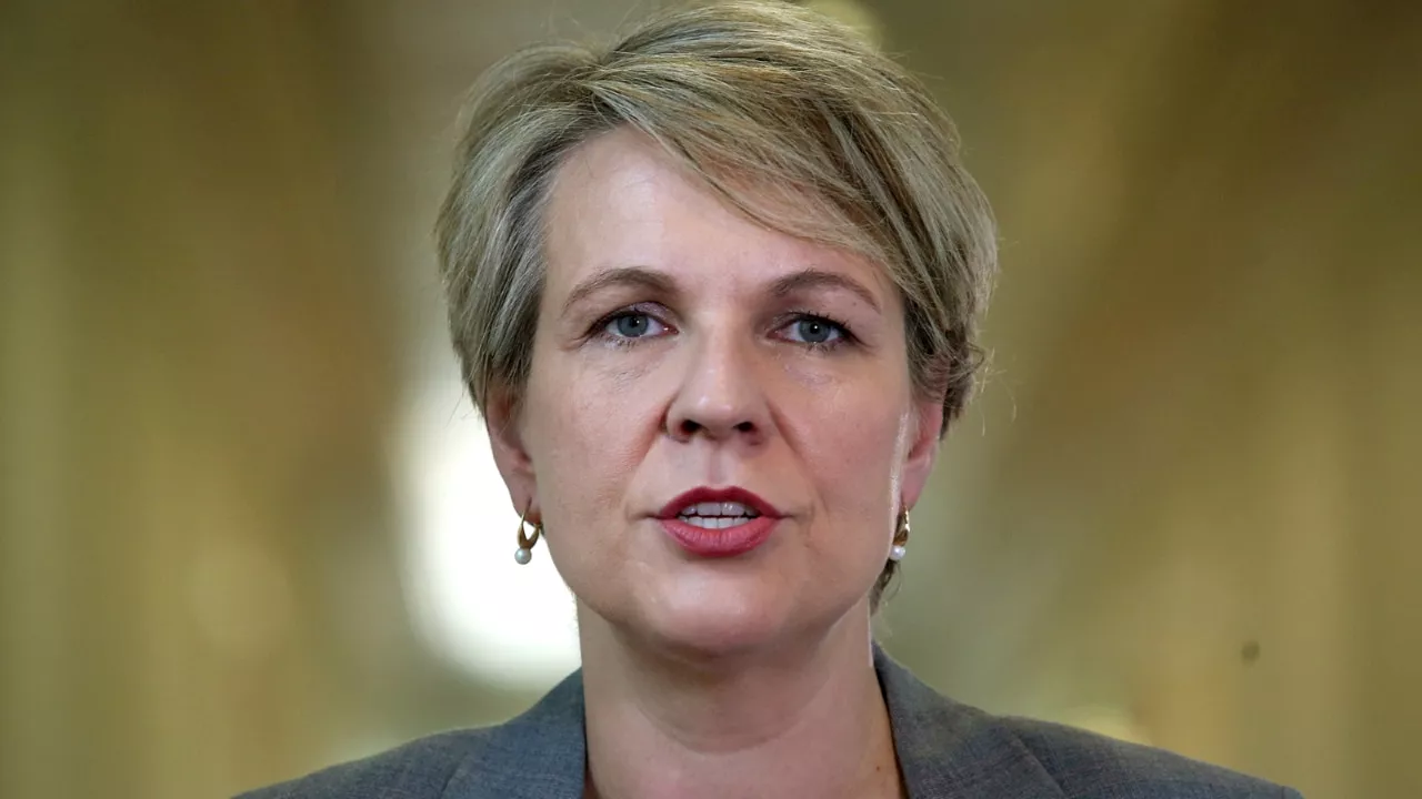 Environment Minister Tanya Plibersek condemns pro-Palestine protests