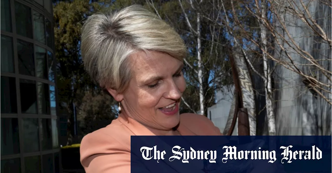 Tanya Plibersek doesn’t have to consider climate change when approving coal mines
