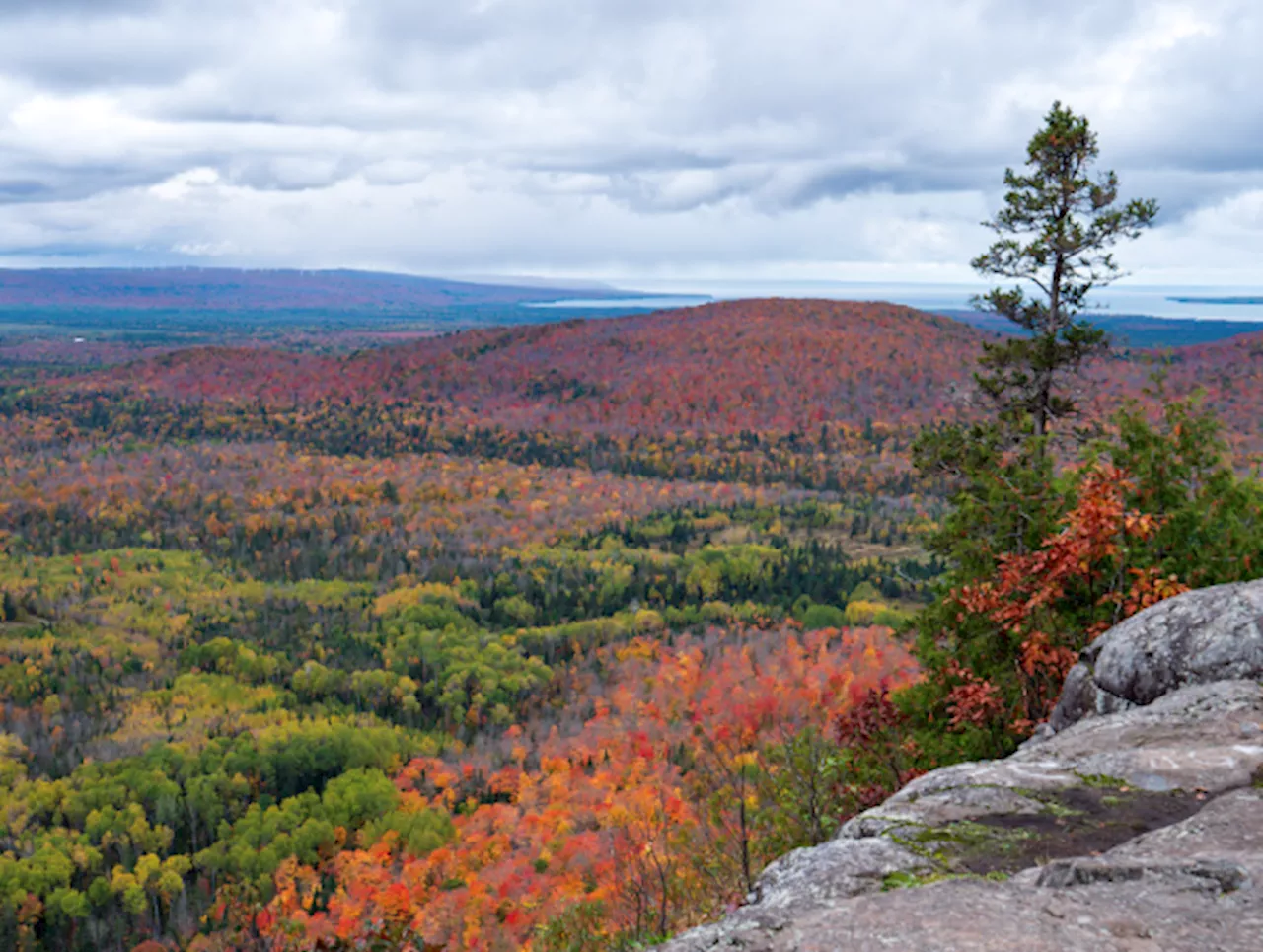 Algoma Highlands Conservancy seeks community support for long-term mission