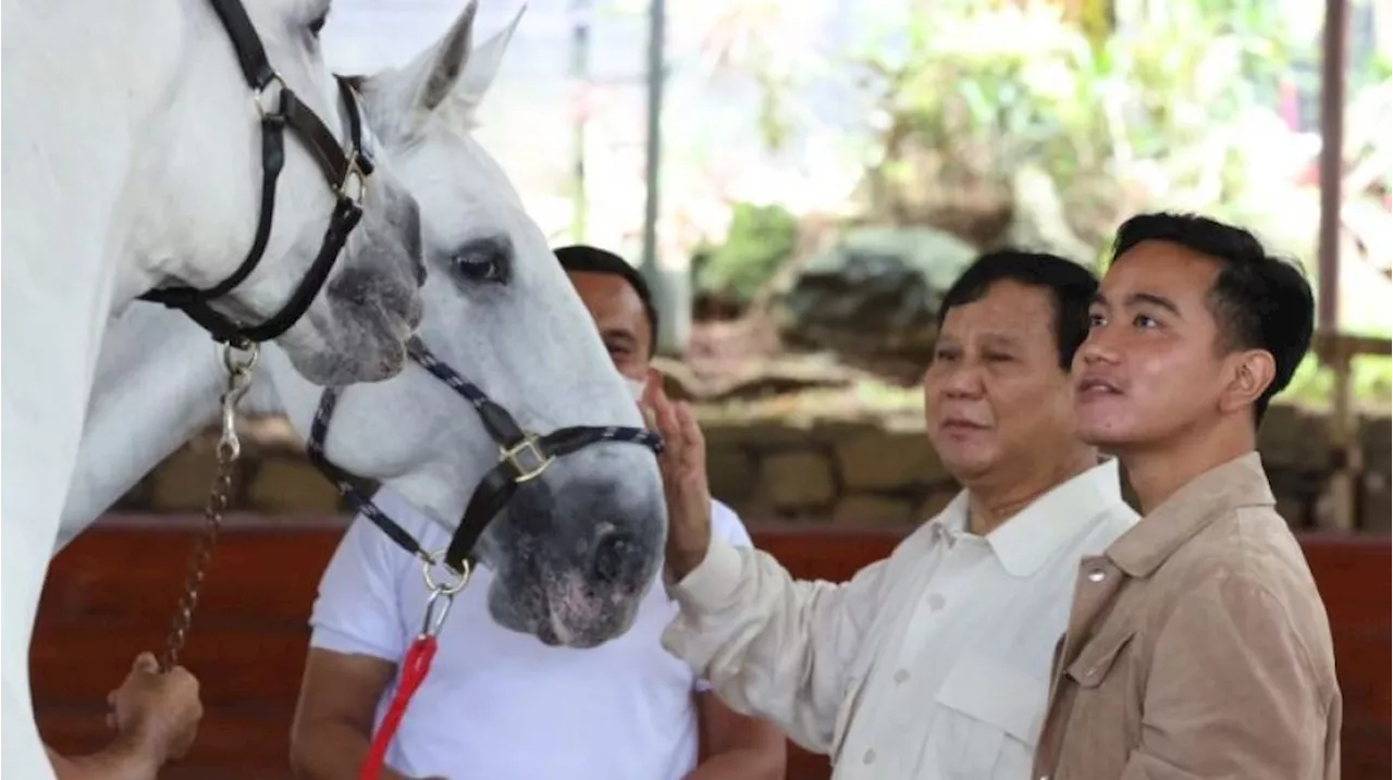 Banyak Kader Gerindra Dukung Gibran Jadi Cawapres Prabowo, MK Diplesetkan Jadi Mahkamah Keluarga