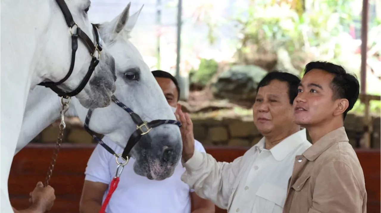 Survei IPN: Kans Prabowo-Gibran Diprediksi Tenggelam, Dibandingkan Prabowo-Khofifah