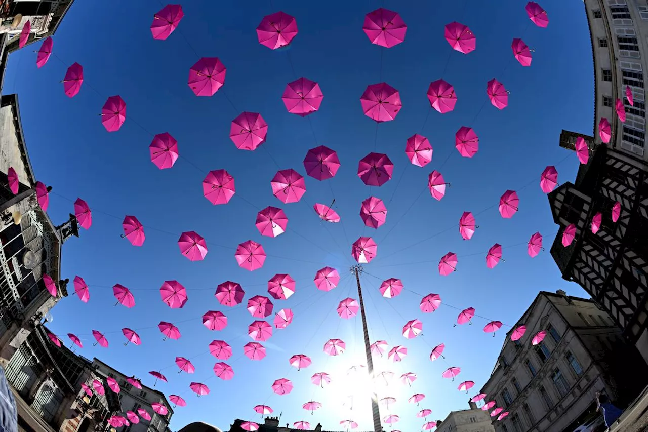 Octobre rose à l’Université Bordeaux Montaigne : une course en hommage à une enseignante