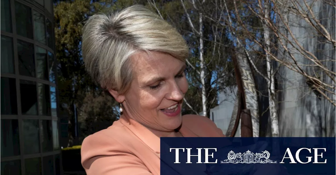 Tanya Plibersek doesn’t have to consider climate change when approving coal mines