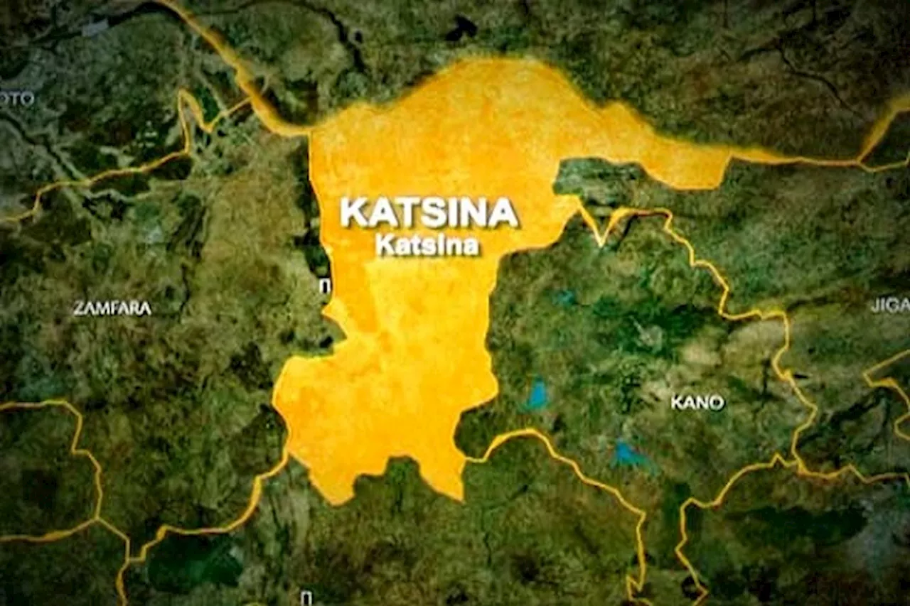 Salary Scam: Katsina set to screen 34 LGA workers | The Nation Newspaper