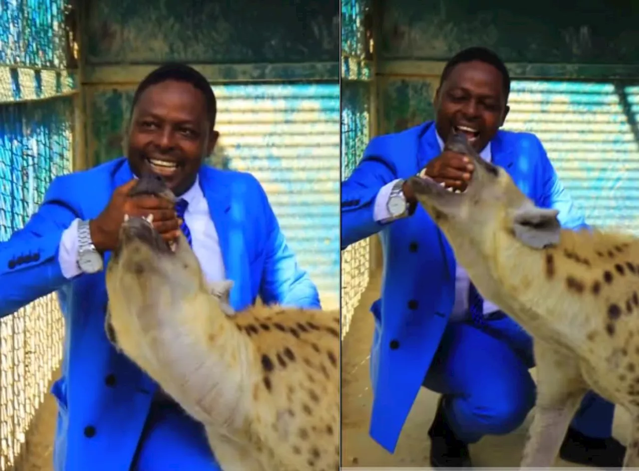 Pastor fearlessly puts his hand in a hyena’s mouth, Leaving people in awe (Video)