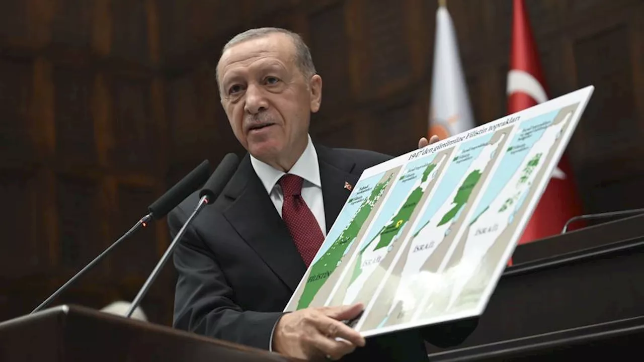 Türkiye's Erdogan rebukes Israel's disproportionate attacks on Gaza